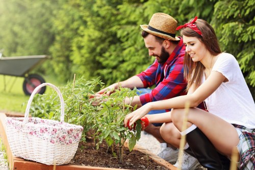 Landscape gardeners in Hanwell creating a stylish garden design