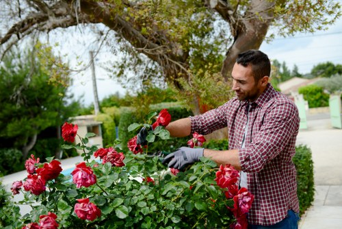 Professional planting services creating a vibrant garden in Hanwell