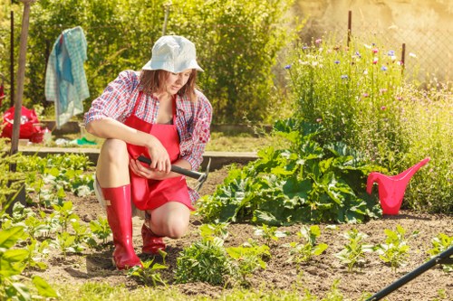 Cookie policy update notice for Landscapers Hanwell