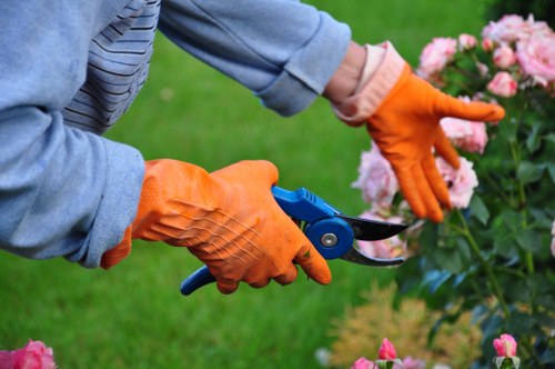 Professional garden tidying and waste collection in Hanwell