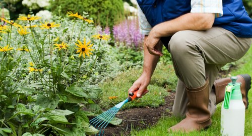 Patio and planting layout for landscaping in Hanwell