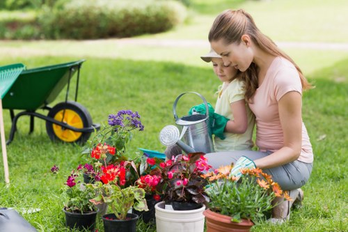 Healthy green lawn in Hanwell garden
