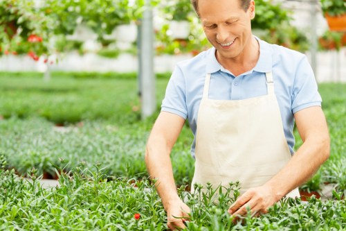 Lawn care treatments including mowing and aeration