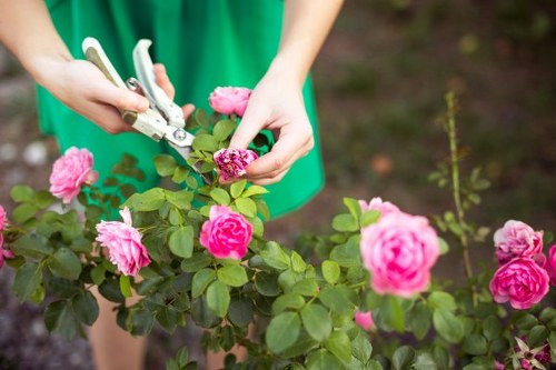 Eco-friendly garden planting and pathway design in Hanwell