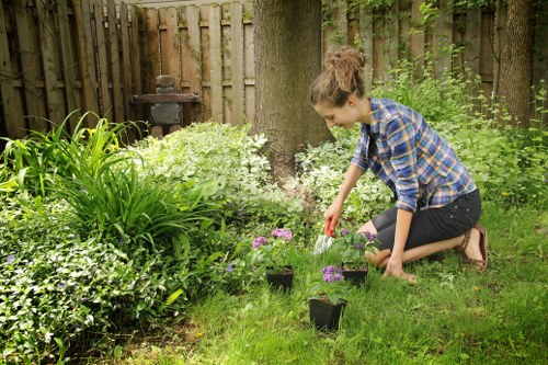 Team member recording a landscaping service complaint