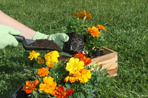 Sustainable planting scheme with native plants and pollinator-friendly flowers in Hanwell