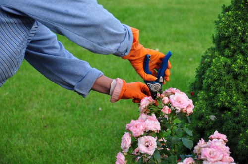 Inclusive website access for Landscapers Hanwell